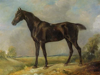 Golding Constable fekete hátaslova, kb. 1805-10