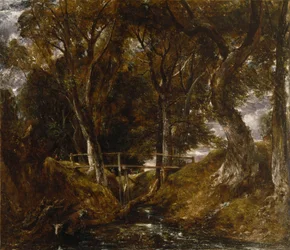 A Dell a Helmingham Parkban