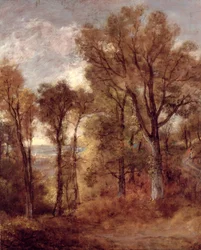 Woodland View Suffolkban (olaj, vászon)
