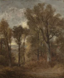 Erdei jelenet, kilátással Dedham Vale-ra, 1802-2003 körül
