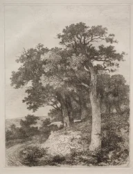 Colney-nál
