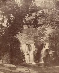 A felső vízesés, Penllergare Valley Woods,c. 1852 (fotó)