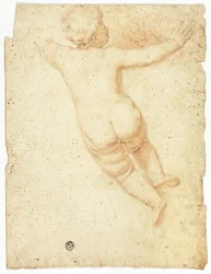 Putto hátulról