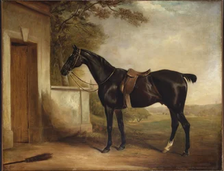 Buckle, First Lord Chesham vadász portréja, 1836