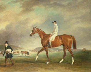 A Cur gesztenye versenyló zsokéval a Newmarket Heath-en