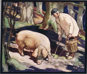 Egy disznó szarvasgomba után kutatva, illusztráció Gladys Davidson 1919-ben megjelent „Segítők keze nélkül” című művéből (színes litó)