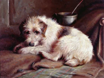 Mesterre várva