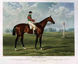 „Phosphorus”, a Derby Stakes győztese Epsomban