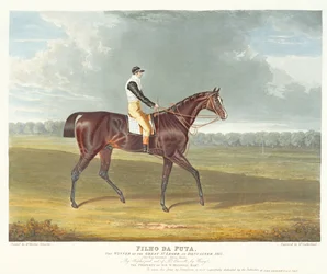 „Filho da Puta”, a Doncaster-i Nagy St. Leger győztese, 1815, vésette Thomas Sutherland (sz. 1785), kocsma. szerző: W. Sheardown und Son (akvatinta)