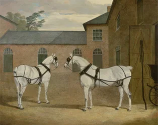 Mr. Sowerby szürke kocsilovai a Putteridge Bury-i kocsiszínben, Hertfordshire, 1836