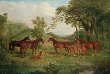 A streatlami ménes, kancák és csikók, 1836