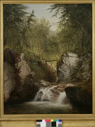 T. Bash-méreg, 1855
