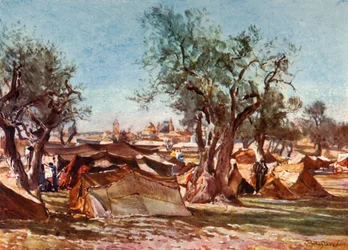 Beduin tábor Jeruzsálem északi falán kívül, 1902.