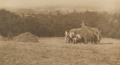 Széna rakodása,1890-1900 (fénykép)
