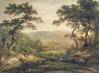 Needlewood Forest, Hampshire (akvarell papíron)