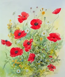 Pipacs és Mayweed