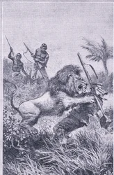 A Newnes által kiadott Livingstone, Newnes képi tudás vége, 1950-es évek (litho)