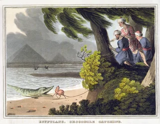 Egyiptomi krokodilfogás, Matthew Dubourg metszete (fl.1785-1820), kiadó: Edward Orme