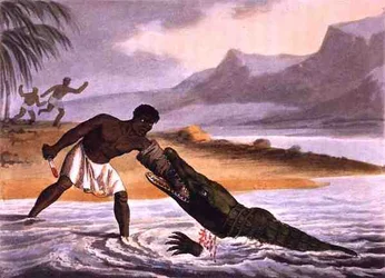 Az afrikai krokodilvadászok, Matthew Dubourg (1785-1820) metszete, kiadó: Edward Orme.