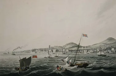 The Town of Dundee, kiadó: Smith & Elder
