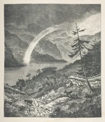 18. tábla. Rainbow, a „Nature Pictures”-től, harminc eredeti illusztrációból álló sorozat, J. H. Dell fára rajzolta, és R. Paterson metszet.John Henry Dell