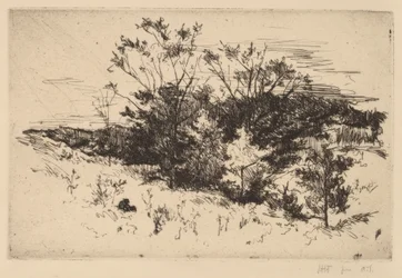 Őszi Avondale