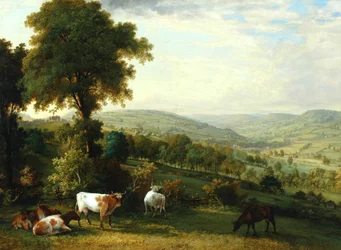 Kilátás a Shibden-völgyre