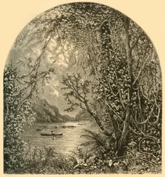 "A Potomac Harper