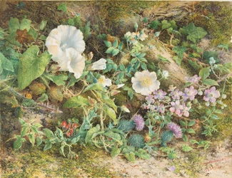 Virágtanulmány, 1866.