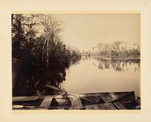 Silver Springs, Florida, kilátás folyásiránnyal szemben