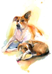 Charlie és Sally, 2016, (akvarell)