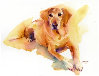 Crash portré, 2016, (akvarell)