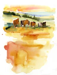 Horses at Sunset, 2015, (akvarell)