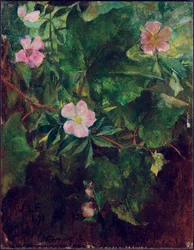Vadrózsa és szőlő, Tanulmány a természetből, 1871