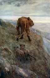 Készenlétben – Oroszlán és kölykök, c1878-1910, 1912.