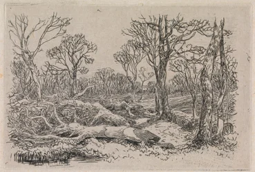 Kivágott fa, Burningham