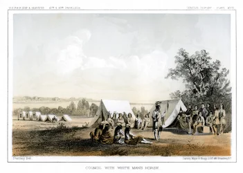 Tanácskozás a fehér ember lovával, 1856