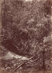 Darieni expedíció, 1871 (fotó)