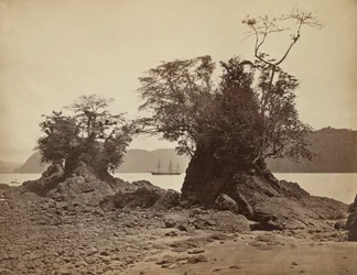Szigetek a Lemon Bay-ben, 1871.