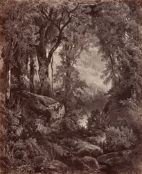 Solitude,1865 (fénykép)