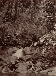 Trópusi táj, Cascade, Limon River, 1871.