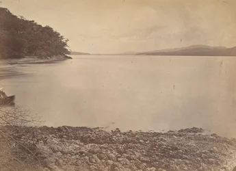 Trópusi táj, Darien kikötője – Délre nézve, 1871.