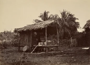 Trópusi táj, Native Hut, Turbo, 1871.