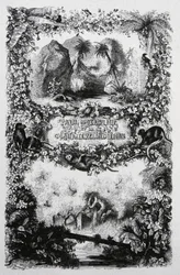 Paul és Virginia, 1860-1870 körül (metszet)