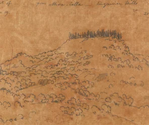 Mirabellából, Euganean Hills, június 19.