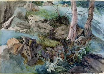 Sziklák és páfrányok tanulmánya egy crossmounti erdőben, Perthshire, 1843