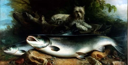 A napi fogás őrzése; egy Skye Terrier egy hím és egy nőstény lazaccal