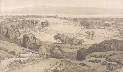 Holt Heath, Norwich közelében
