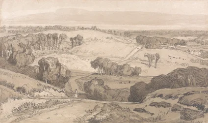 Holt Heath, Norwich közelében