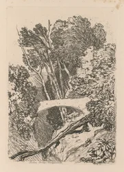 Liber Studiorum: 11. tábla: Parsons Bridge, Cardingshire, 1838